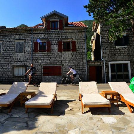 A Hundred Olive Trees Apartments コトル エクステリア 写真
