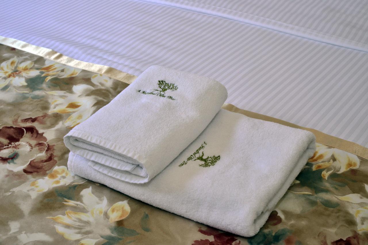 A Hundred Olive Trees Apartments コトル エクステリア 写真