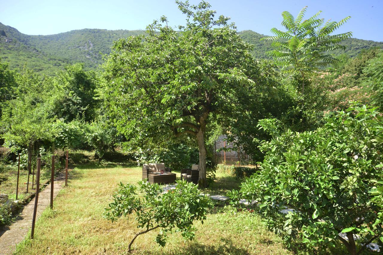 A Hundred Olive Trees Apartments コトル エクステリア 写真