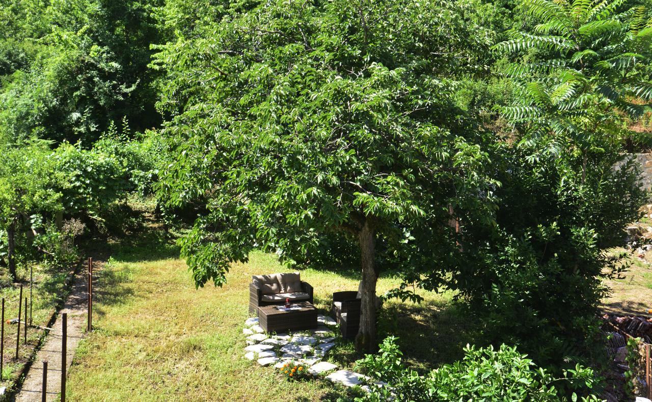 A Hundred Olive Trees Apartments コトル エクステリア 写真